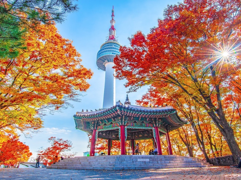Hàn Quốc 5N4Đ: Seoul – Nami – Làng Dân Tộc Yongin – Thư Viện Starfield Suwon